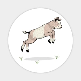 Baby goat Magnet